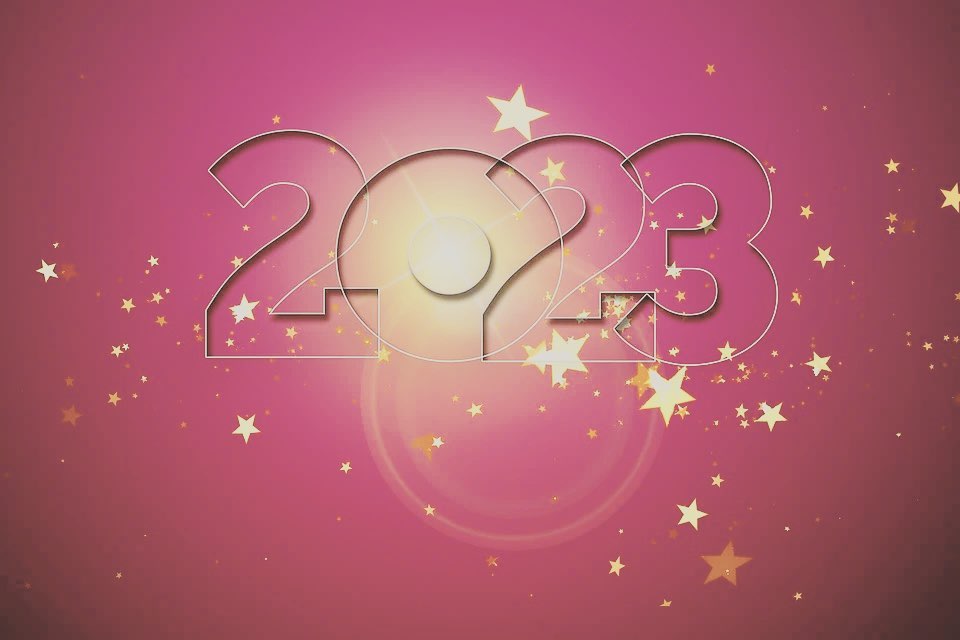 HAPPY NEW YEAR ! HAPPY NEW YEAR !